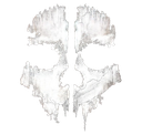 Call of duty: ghost