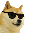 Cool Doge